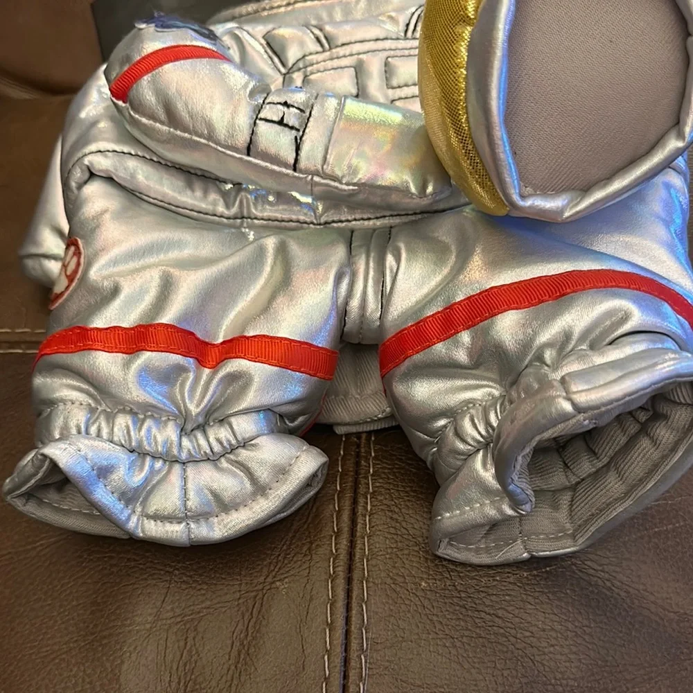 Snooky Pet Space Suit Costume - Silver and Gold